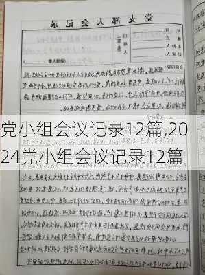 党小组会议记录12篇,2024党小组会议记录12篇