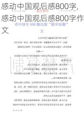 感动中国观后感800字,感动中国观后感800字作文