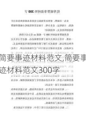 简要事迹材料范文,简要事迹材料范文300字