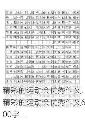 精彩的运动会优秀作文,精彩的运动会优秀作文600字