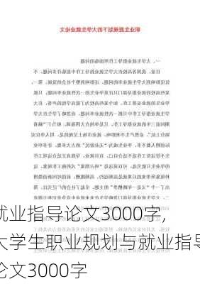 就业指导论文3000字,大学生职业规划与就业指导论文3000字