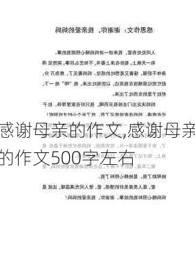 感谢母亲的作文,感谢母亲的作文500字左右