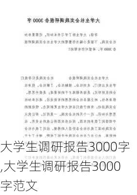 大学生调研报告3000字,大学生调研报告3000字范文