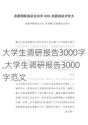 大学生调研报告3000字,大学生调研报告3000字范文