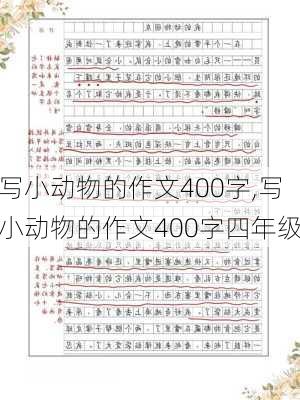 写小动物的作文400字,写小动物的作文400字四年级