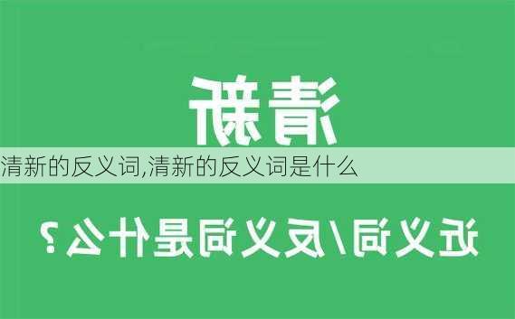 清新的反义词,清新的反义词是什么