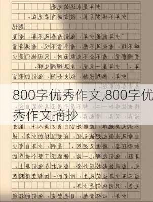 800字优秀作文,800字优秀作文摘抄