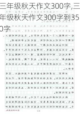 三年级秋天作文300字,三年级秋天作文300字到350字