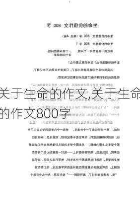 关于生命的作文,关于生命的作文800字