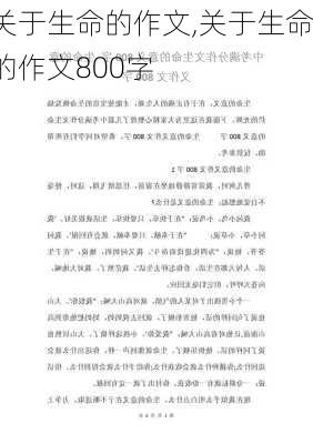 关于生命的作文,关于生命的作文800字