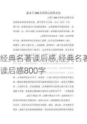 经典名著读后感,经典名著读后感800字