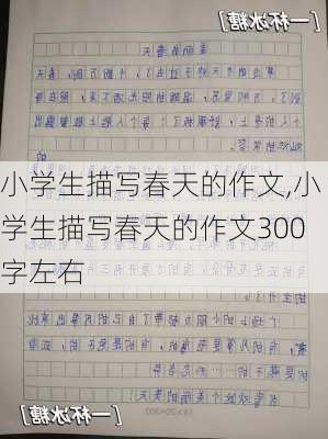 小学生描写春天的作文,小学生描写春天的作文300字左右