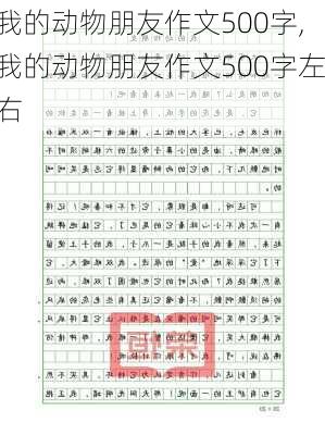 我的动物朋友作文500字,我的动物朋友作文500字左右