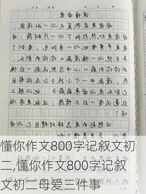 懂你作文800字记叙文初二,懂你作文800字记叙文初二母爱三件事