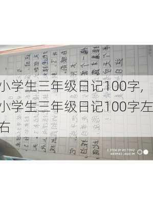 小学生三年级日记100字,小学生三年级日记100字左右