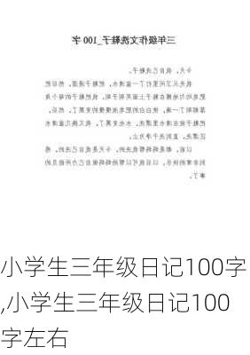 小学生三年级日记100字,小学生三年级日记100字左右