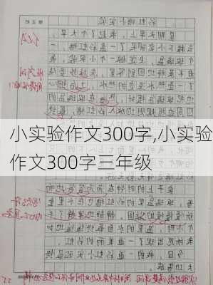 小实验作文300字,小实验作文300字三年级