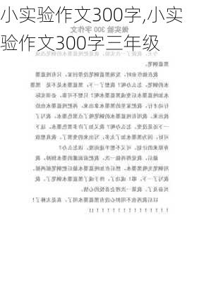 小实验作文300字,小实验作文300字三年级