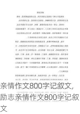 亲情作文800字记叙文,励志亲情作文800字记叙文