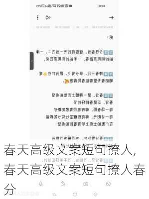 春天高级文案短句撩人,春天高级文案短句撩人春分