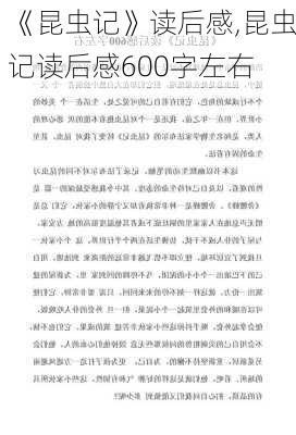 《昆虫记》读后感,昆虫记读后感600字左右