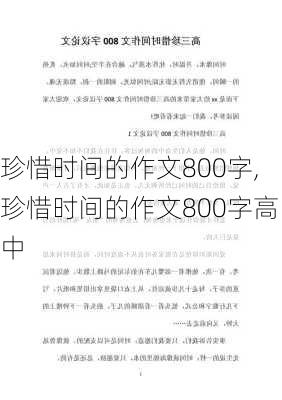 珍惜时间的作文800字,珍惜时间的作文800字高中