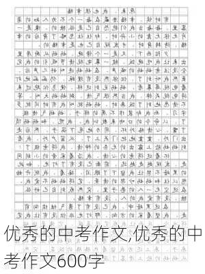 优秀的中考作文,优秀的中考作文600字