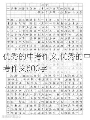 优秀的中考作文,优秀的中考作文600字