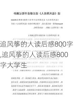 追风筝的人读后感800字,追风筝的人读后感800字大学生