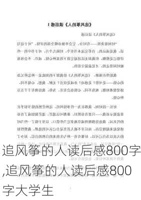 追风筝的人读后感800字,追风筝的人读后感800字大学生