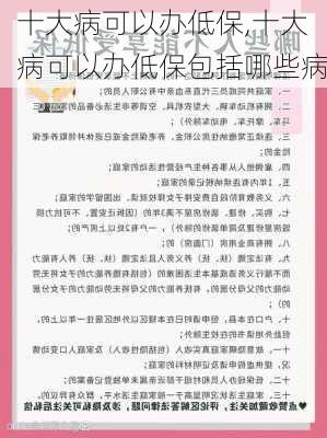 十大病可以办低保,十大病可以办低保包括哪些病