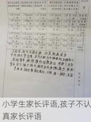 小学生家长评语,孩子不认真家长评语