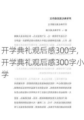 开学典礼观后感300字,开学典礼观后感300字小学