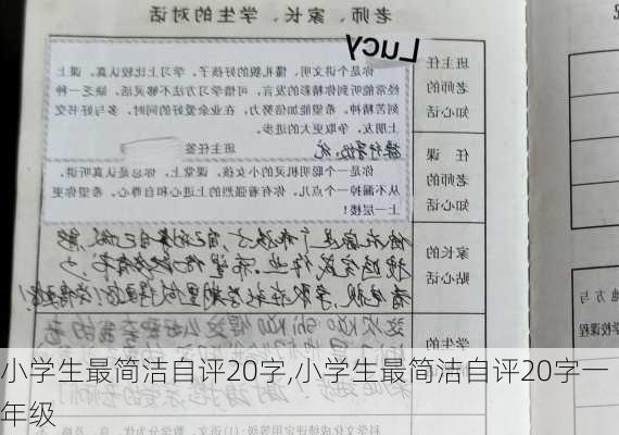 小学生最简洁自评20字,小学生最简洁自评20字一年级