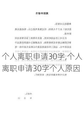 个人离职申请30字,个人离职申请30字个人原因