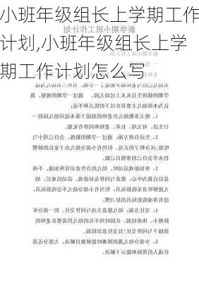 小班年级组长上学期工作计划,小班年级组长上学期工作计划怎么写