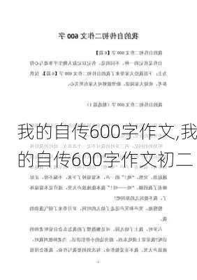 我的自传600字作文,我的自传600字作文初二