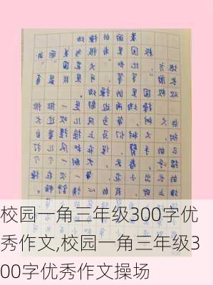 校园一角三年级300字优秀作文,校园一角三年级300字优秀作文操场