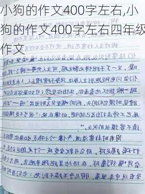 小狗的作文400字左右,小狗的作文400字左右四年级作文