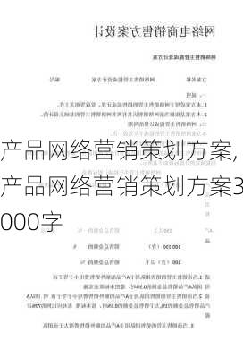 产品网络营销策划方案,产品网络营销策划方案3000字