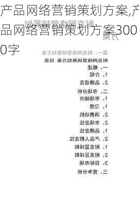 产品网络营销策划方案,产品网络营销策划方案3000字