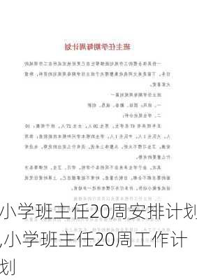 小学班主任20周安排计划,小学班主任20周工作计划