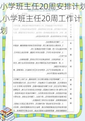 小学班主任20周安排计划,小学班主任20周工作计划