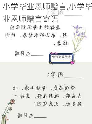 小学毕业恩师赠言,小学毕业恩师赠言寄语