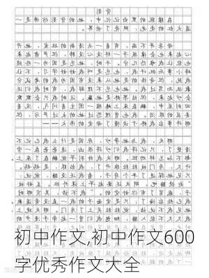 初中作文,初中作文600字优秀作文大全