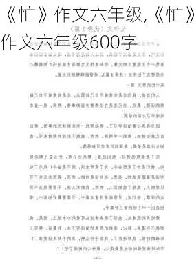 《忙》作文六年级,《忙》作文六年级600字