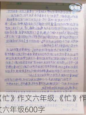 《忙》作文六年级,《忙》作文六年级600字