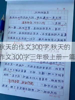 秋天的作文300字,秋天的作文300字三年级上册一篇