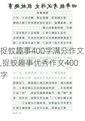 捉蚊趣事400字满分作文,捉蚊趣事优秀作文400字