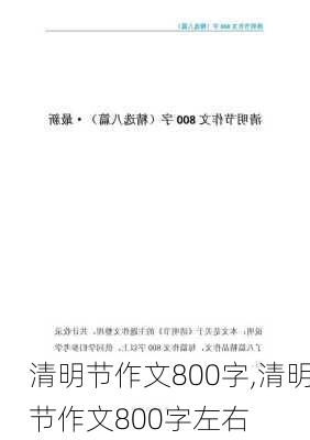 清明节作文800字,清明节作文800字左右